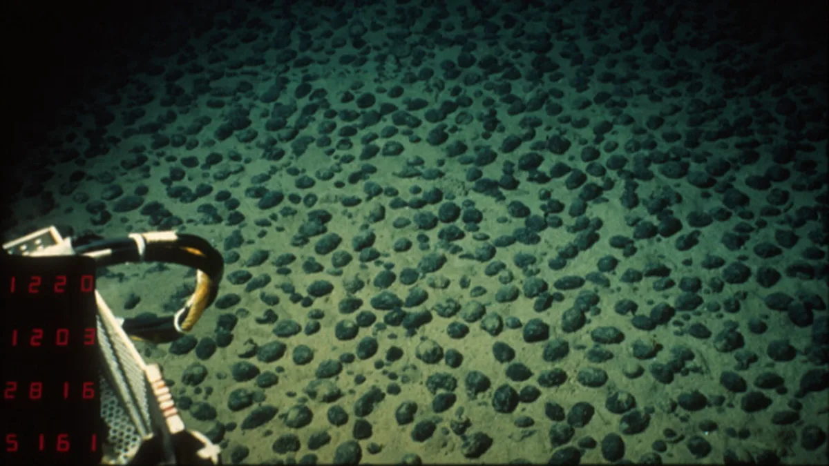 Polymetallic nodules are potato-sized concretions of manganese, iron, and other valuable metals foun