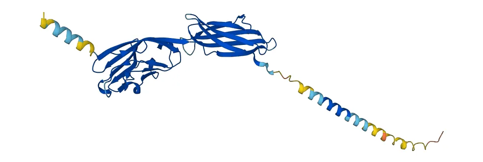 AlphaFold, an AI model developed by Google DeepMind, revolutionized biology by accurately predicting