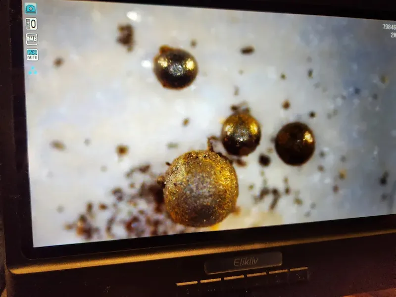 These tiny metallic spherules, retrieved from the Pacific Ocean floor near Papua New Guinea, are bel