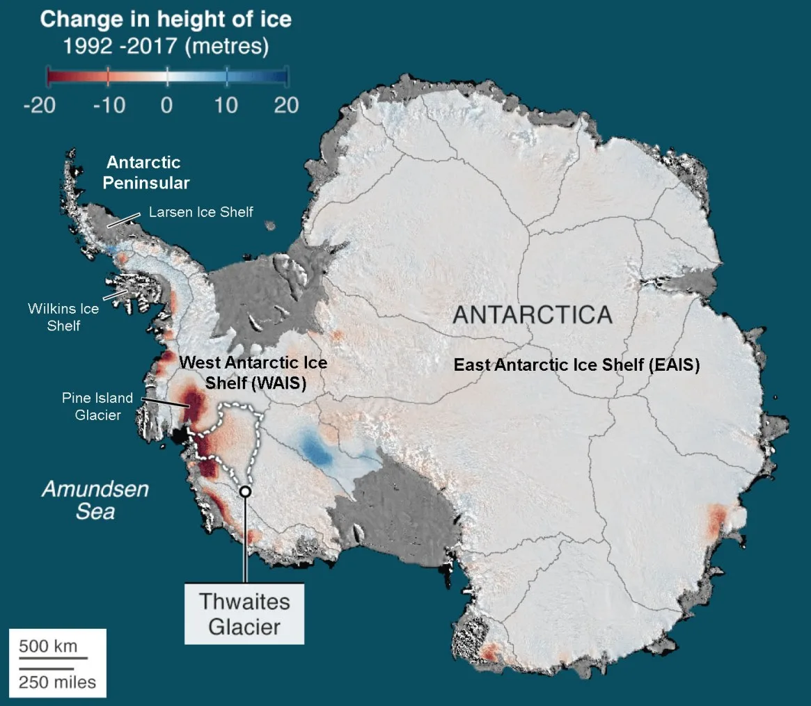 The West Antarctic Ice Sheet, particularly its Thwaites and Pine Island glaciers, is a critical comp