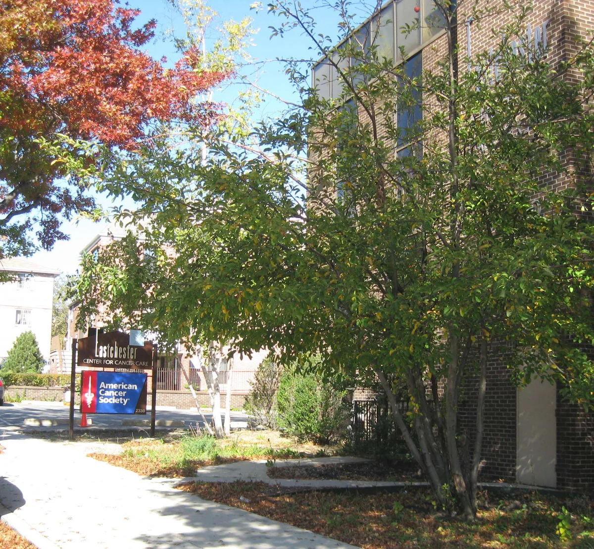 Founded in 1913, the American Cancer Society (ACS) is a nationwide voluntary health organization ded