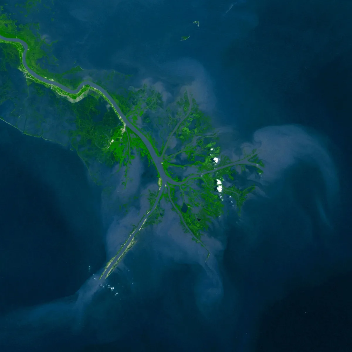 The Mississippi River, the second-longest river in North America, carries an immense volume of fresh