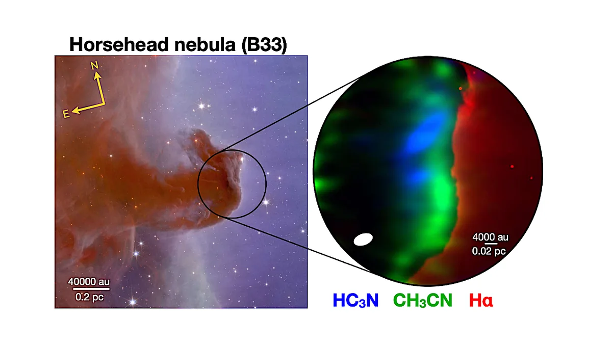 Nebulae are vast interstellar clouds of gas and dust, often called 'cosmic chemical factories,' wher