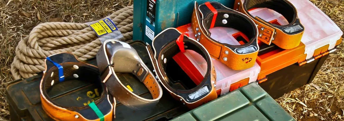 GPS tracking technology, often in the form of collars or tags, allows scientists to monitor animal m