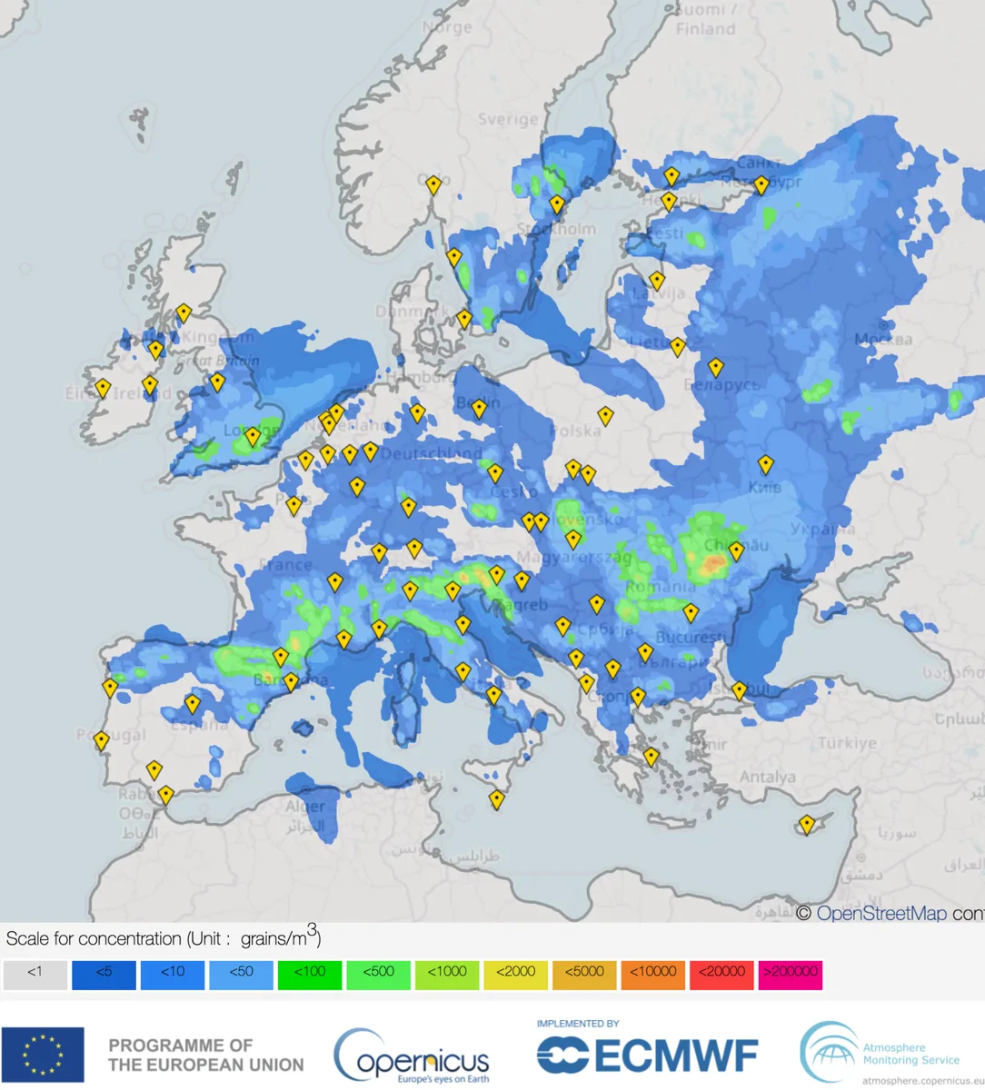 La red de Información Europea del Polen (EPI) proporciona pronósticos diarios cruciales de polen en toda Europa,