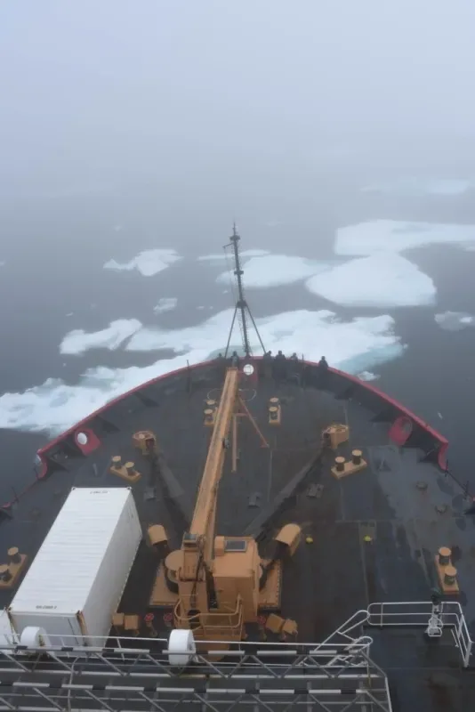 La route maritime du Nord, une voie de navigation à travers l'océan Arctique, devient de plus en plus navigable