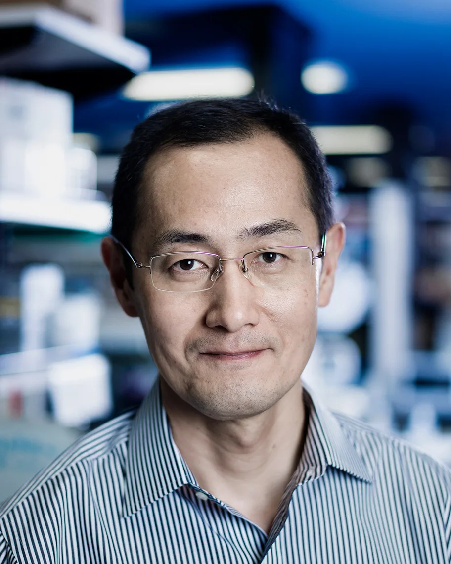 Japanese researcher Shinya Yamanaka won the Nobel Prize in Physiology or Medicine in 2012 for his gr