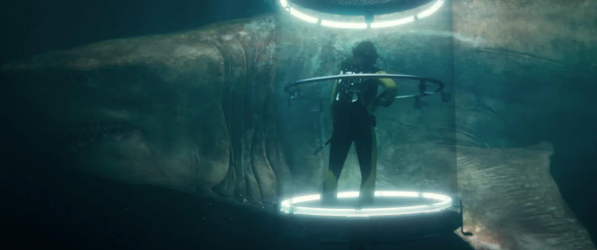 Despite making $145 million domestically, the 2018 blockbuster *The Meg* pulled in an additional $38