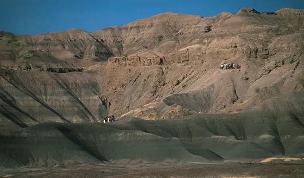 The Hadar archaeological site in Ethiopia's Afar Region is renowned as the discovery location of 'Lu