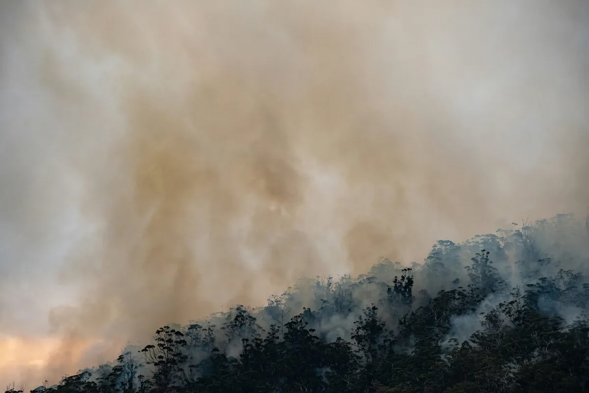 Wildfires, exacerbated by climate change, release fine particulate matter (PM2.5) into the air. A 20