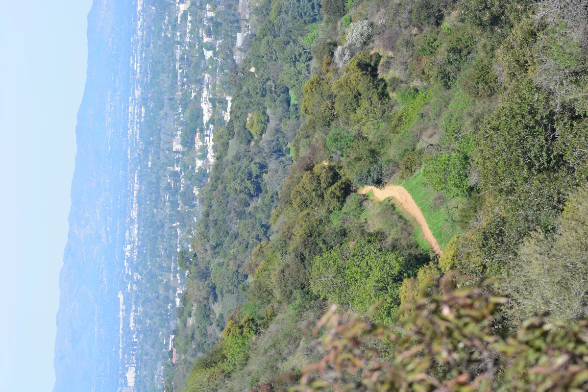 Laurel Canyon, nestled in the Hollywood Hills of Los Angeles, California, became a legendary hub for