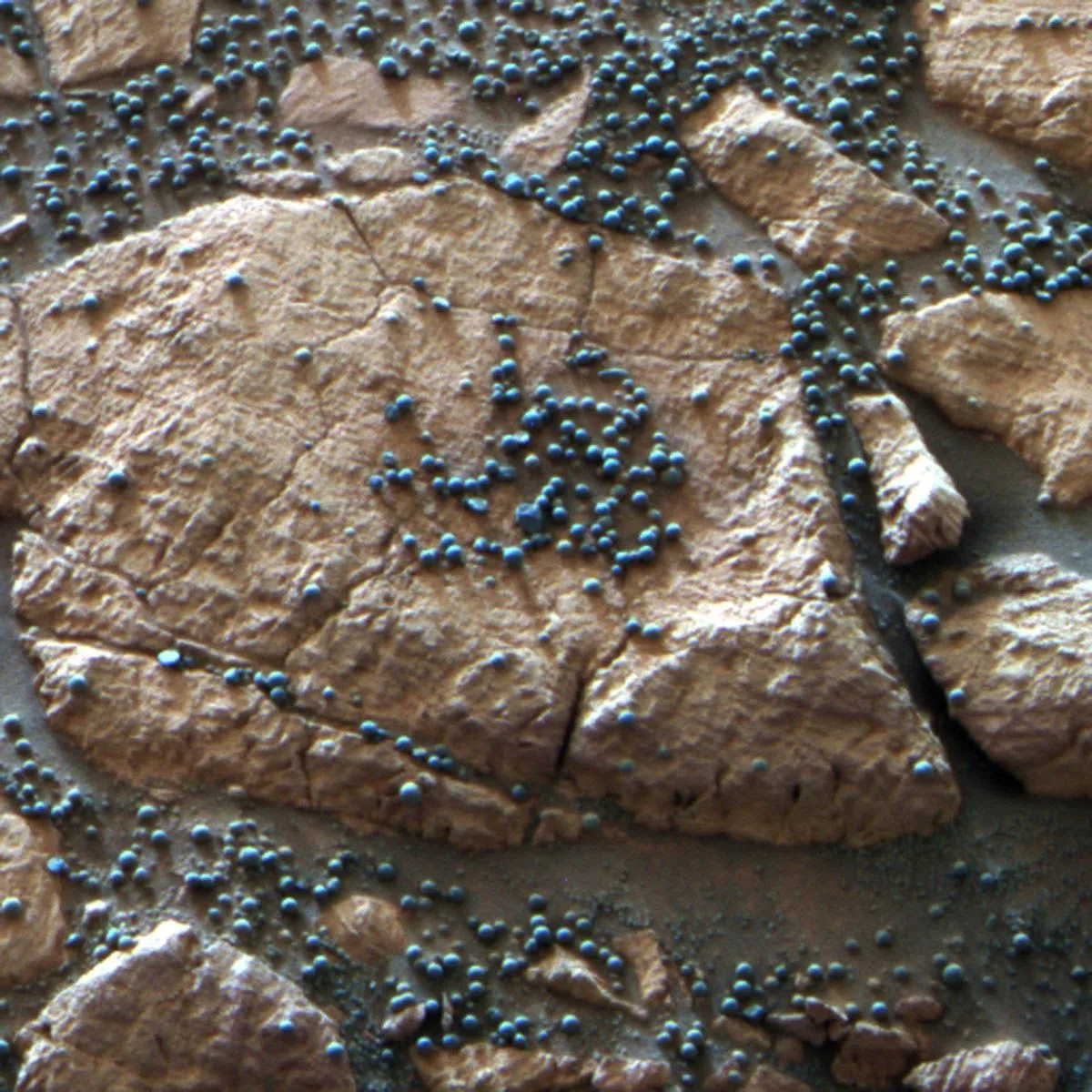 These small, spherical concretions of hematite, nicknamed 'blueberries,' were discovered by the Oppo