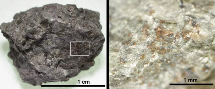 En 1996, la NASA a annoncé que cette météorite de la taille d'une pomme de terre, ALH84001, trouvée en Antarctique, contenait des preuves de microbes martiens fossilisés, déclenchant un débat mondial sur la vie extraterrestre. Bien que largement démystifiée, elle reste un artefact essentiel dans la recherche de vie extraterrestre.