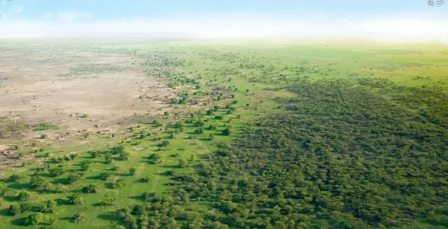 The ambitious Great Green Wall initiative aims to combat desertification across the Sahel region. In