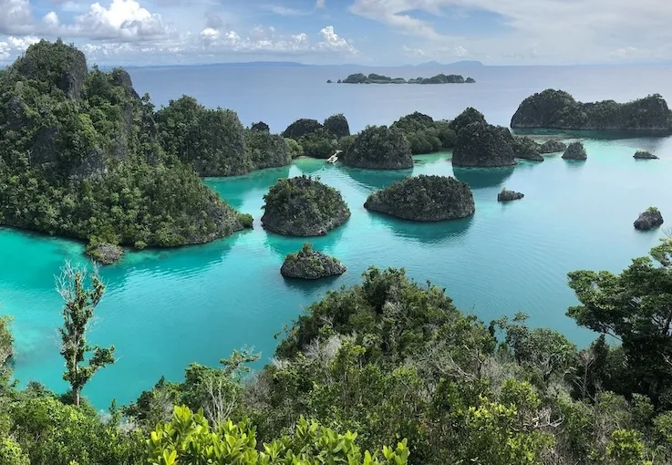 The Raja Ampat archipelago in Indonesia is a global hotspot for marine biodiversity and established 
