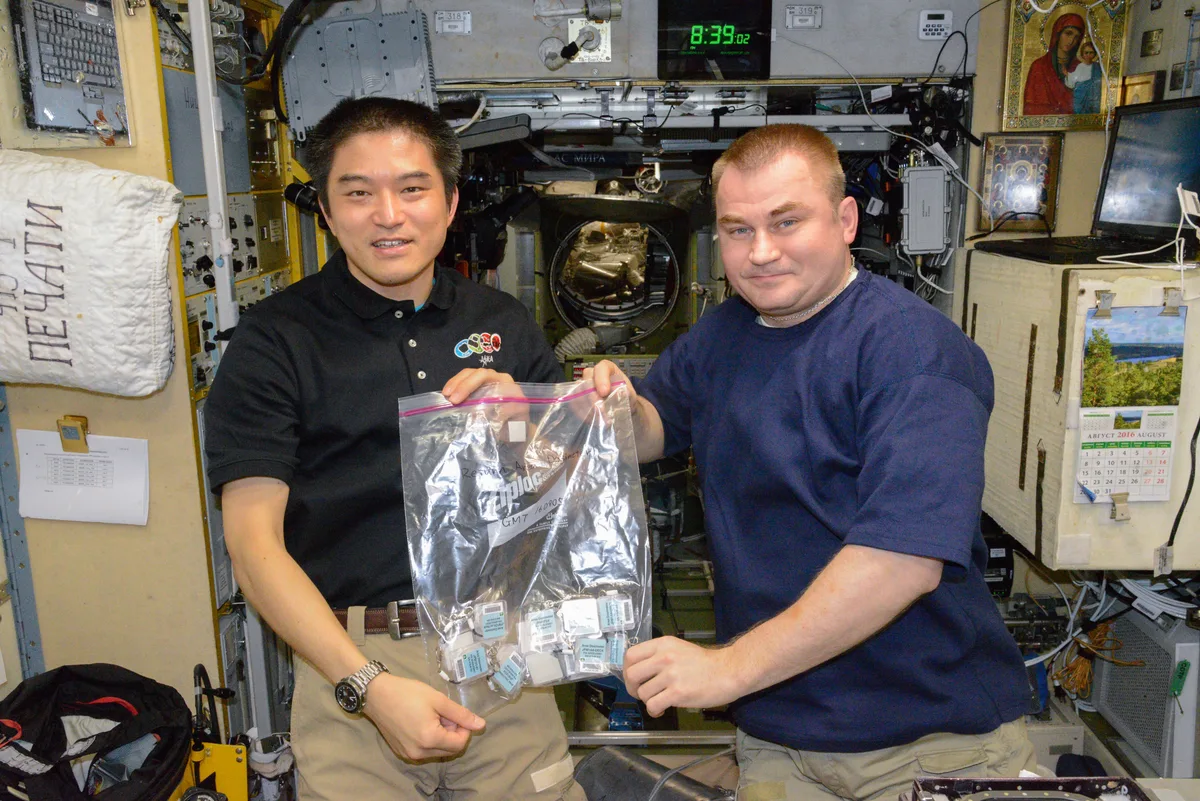 Astronauts aboard the International Space Station (ISS) face constant exposure to solar energetic pa