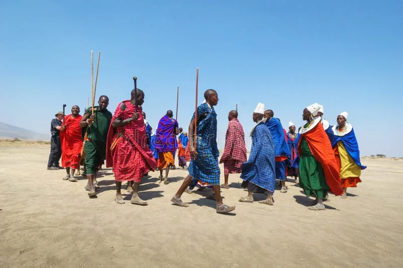 The Maasai, an indigenous group in Kenya and Tanzania, often perform traditional dances for tourists
