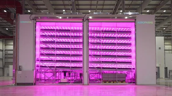 AeroFarms AgX, an advanced research facility launched in Abu Dhabi in February 2023, serves as a hub