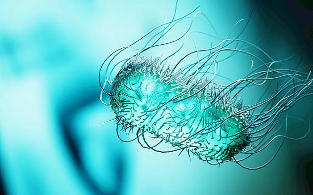 Pathogenic bacteria like Salmonella, E. coli, and Listeria are the invisible culprits behind million