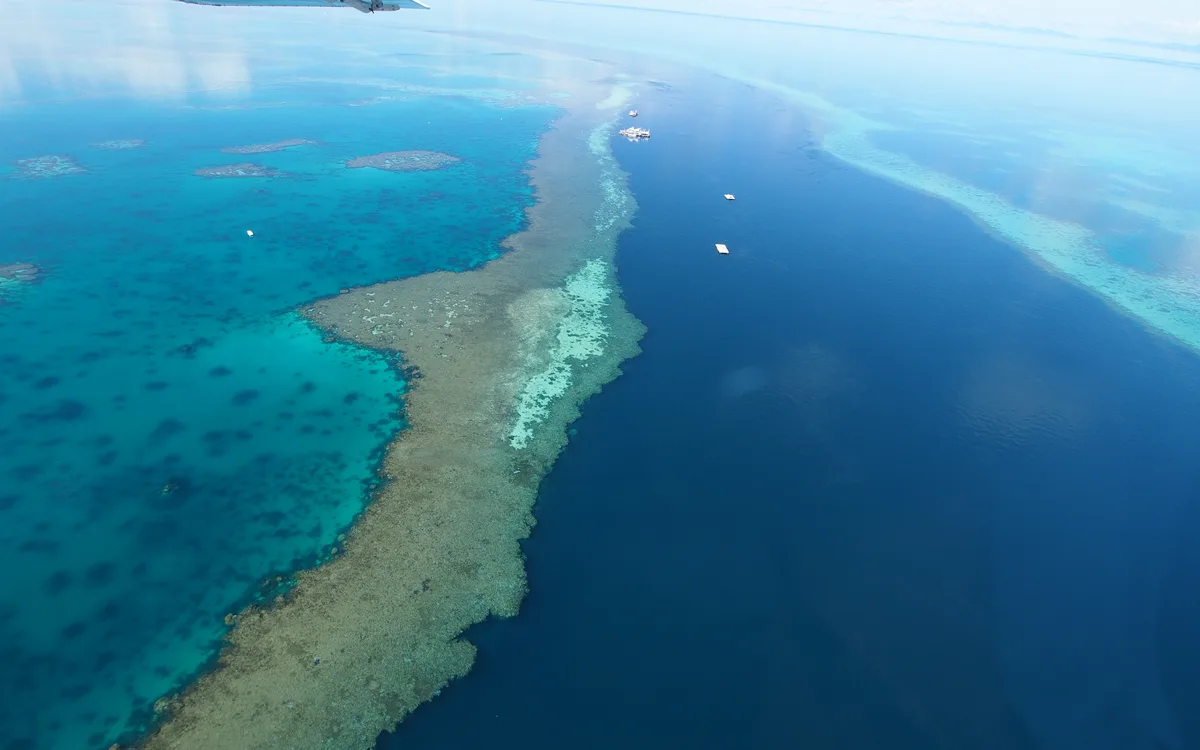 The Great Barrier Reef, located off the coast of Queensland, Australia, is the world's largest coral