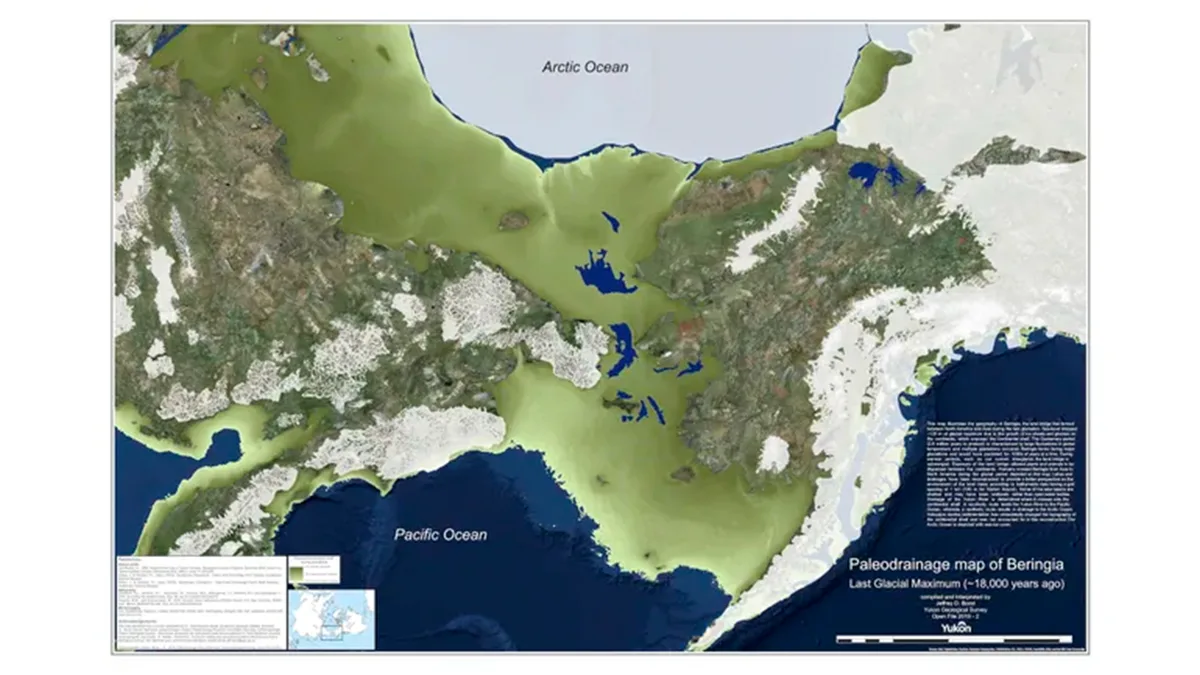 Baisse du niveau de la mer pendant le Dernier Maximum Glaciaire, exposant la Béringie, pont terrestre reliant Sibérie et Alaska