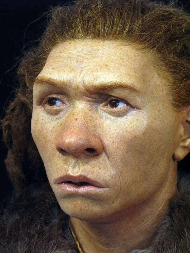 Néandertaliens, espèce humaine éteinte, rencontrant et se métissant avec l'*Homo sapiens* lors des migrations en Europe et en Asie.